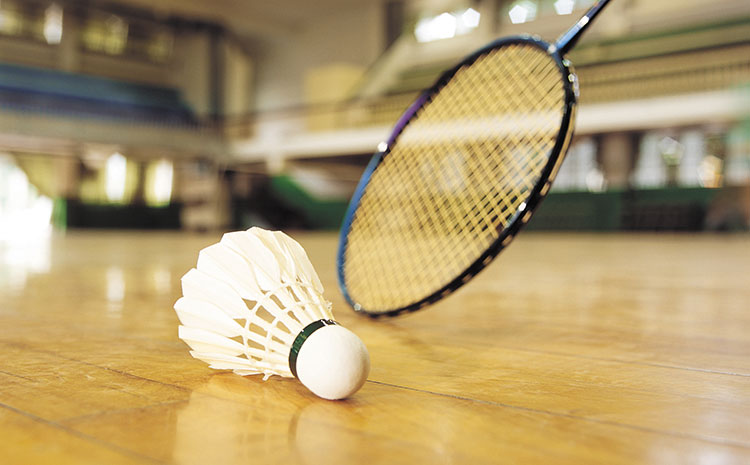 24厚木地板籃球館品牌廠家