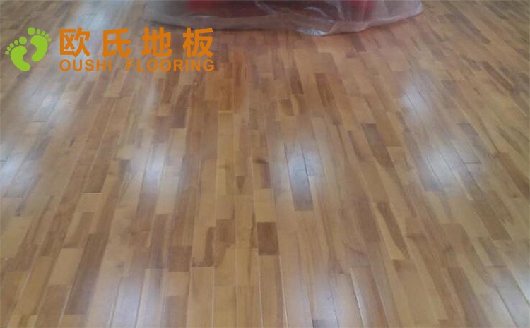 內蒙古公安廳乒乓球室木地板圖片