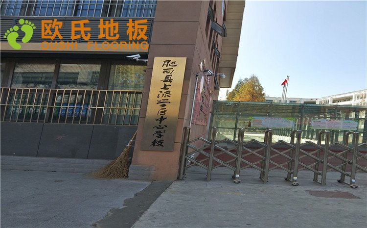 安徽合肥肥西縣上派中心學校體育館木地板案例